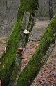 Wandertag 2016 - 066